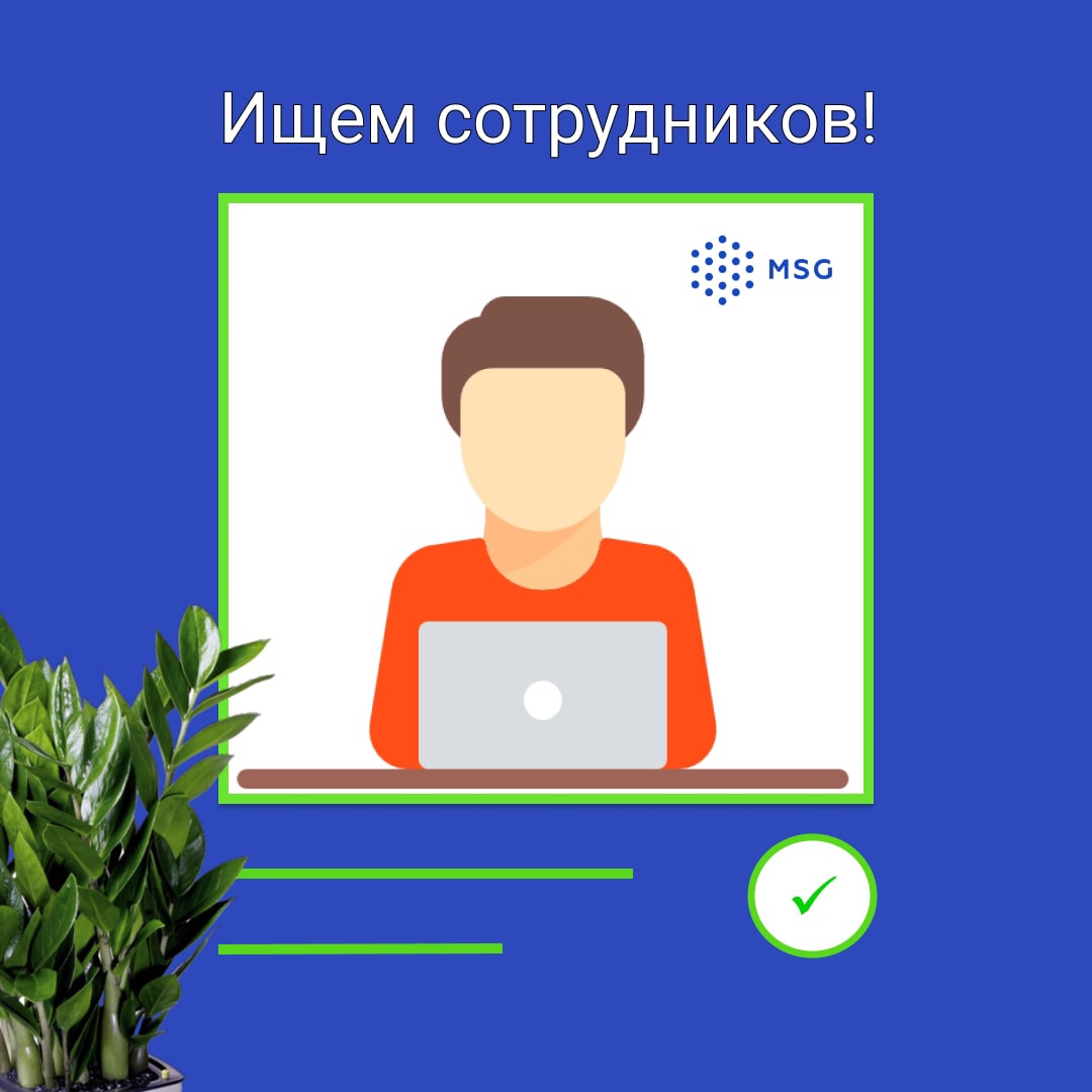 Актуальные вакансии в MSG!